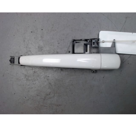 POIGNEE EXT PORTE ARG