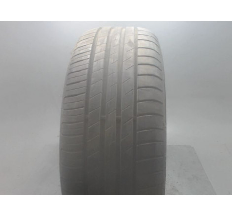 Pneu GOODYEAR EFFICIENTGRIP PERFORMANCE 205 55 16 91 W