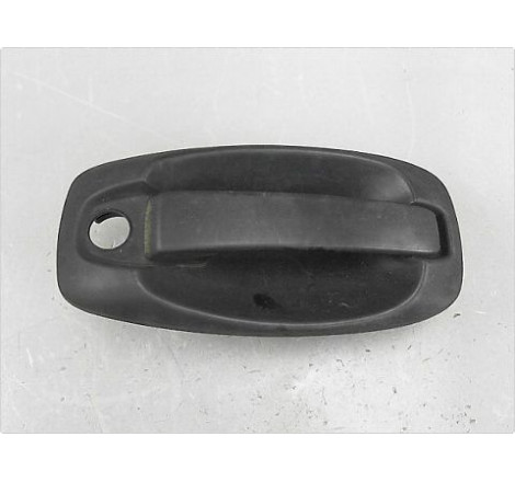 POIGNEE EXT PORTE AVG