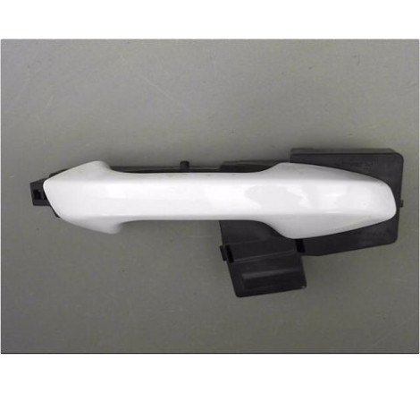 POIGNEE EXT PORTE ARD