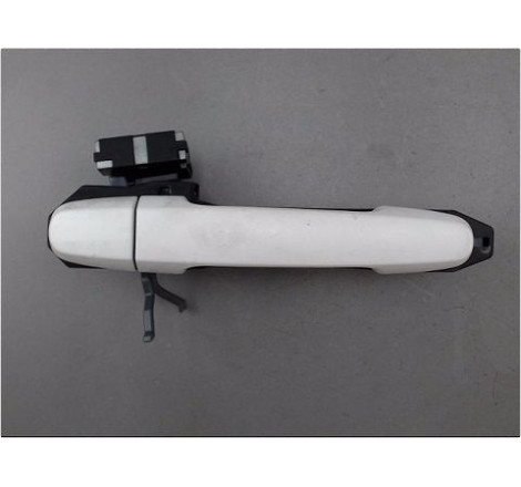 POIGNEE EXT PORTE ARD