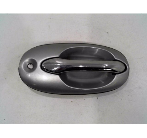 POIGNEE EXT PORTE AVG