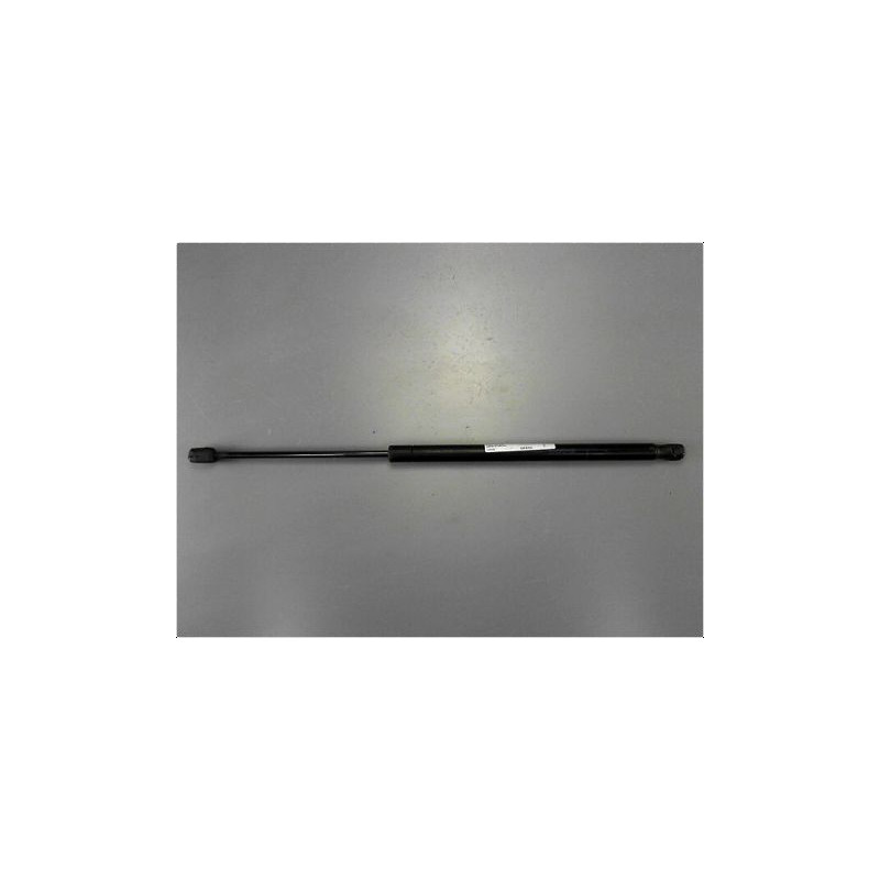 VERIN GAUCHE HAYON RENAULT SCENIC II PH2 06-09