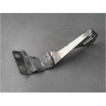 COMPAS DROIT CAPOT RENAULT MEGANE II PH1 02-05