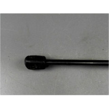 VERIN GAUCHE CAPOT DACIA DUSTER 10-13