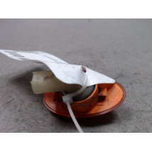 REPETITEUR AILE DROIT MINI MINI 2004-2006