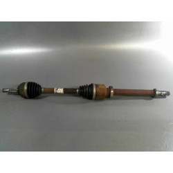TRANSMISSION AVD