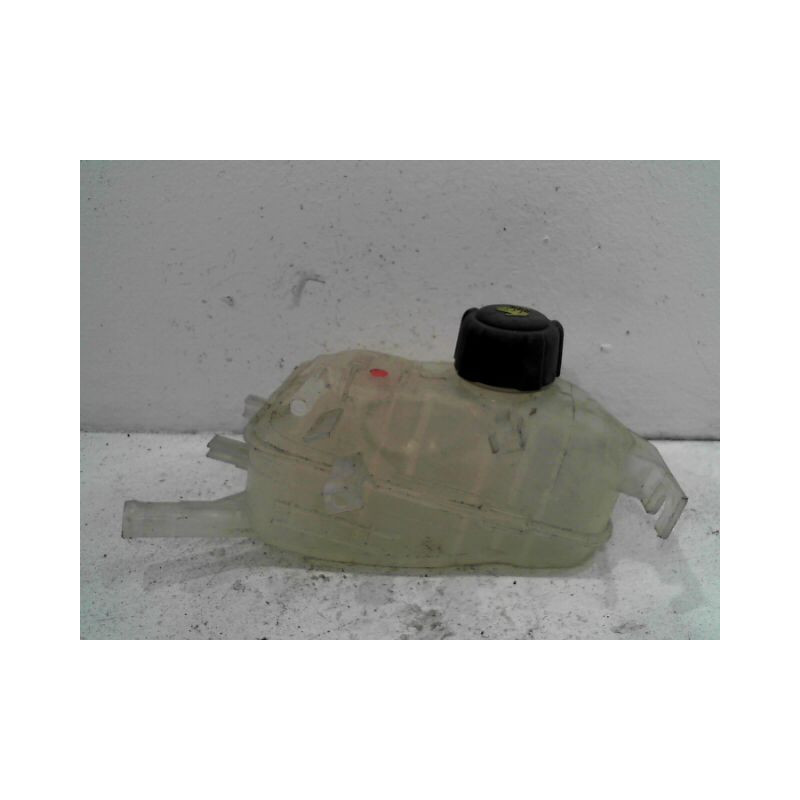 VASE EXPANSION RENAULT SCENIC III 2009-