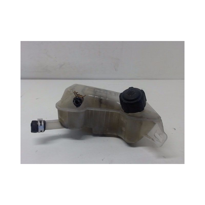 VASE EXPANSION RENAULT SCENIC II PH1 02-06