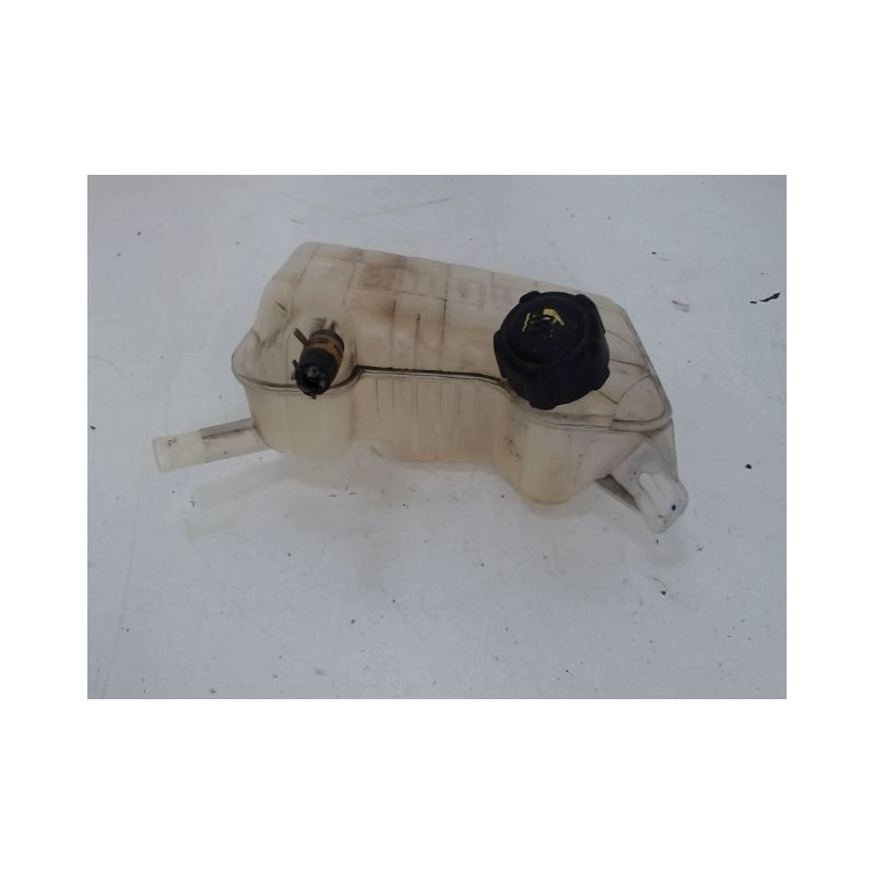 VASE EXPANSION RENAULT MEGANE