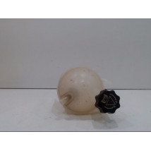 VASE EXPANSION CITROEN C4