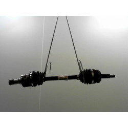 TRANSMISSION AVG