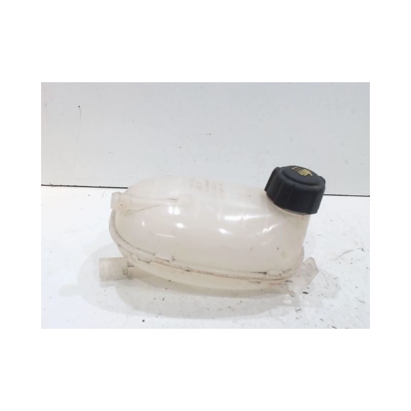 VASE EXPANSION RENAULT CLIO
