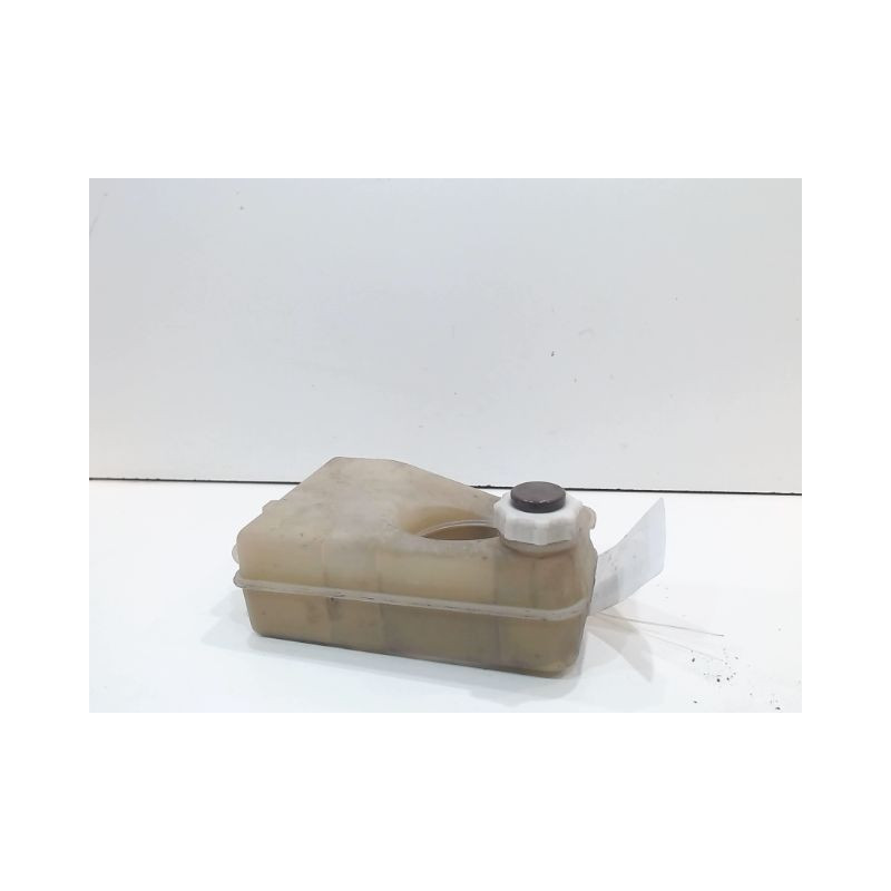 VASE EXPANSION RENAULT TWINGO