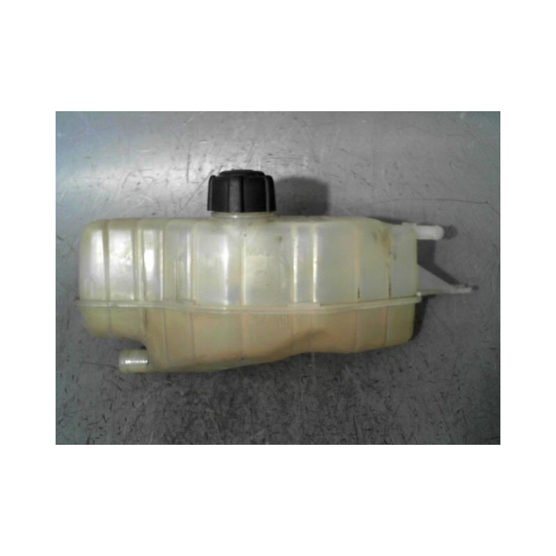 VASE EXPANSION RENAULT CLIO III 2007-