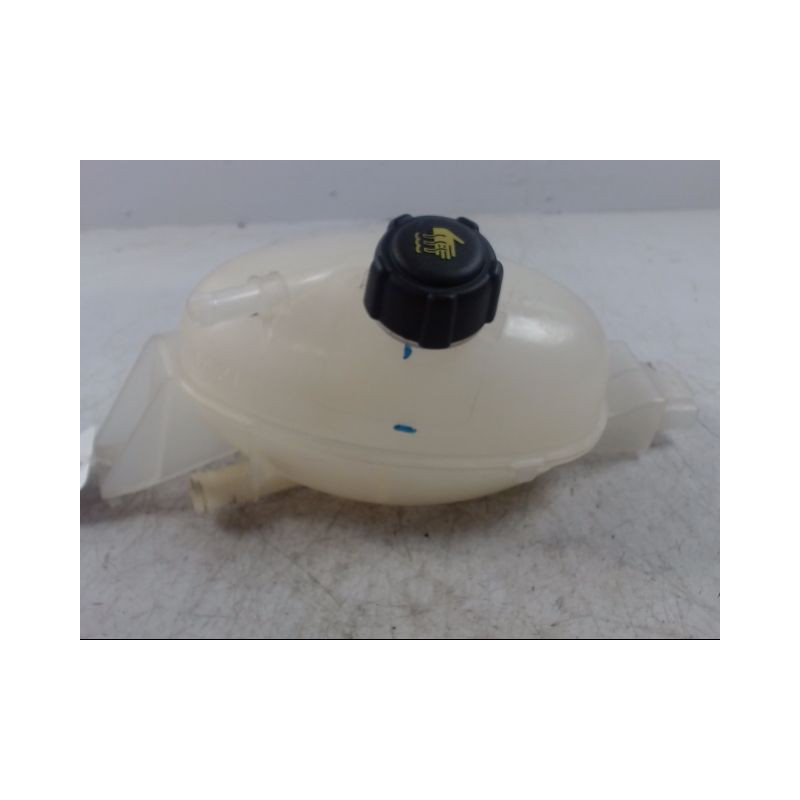 VASE EXPANSION RENAULT MASTER