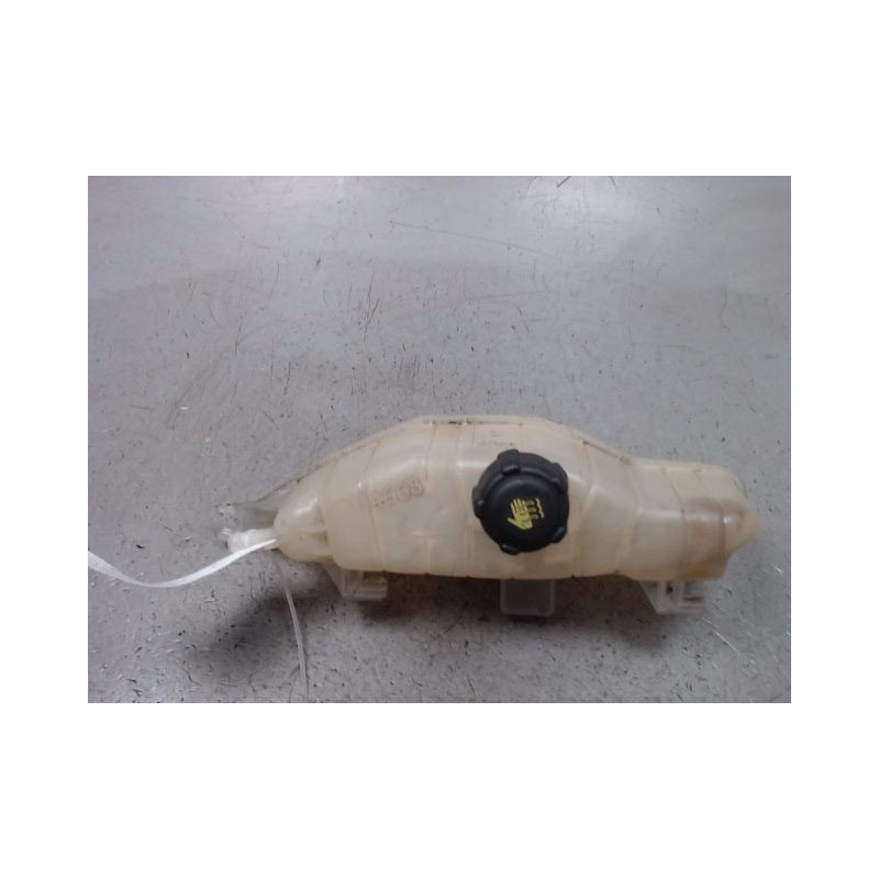 VASE EXPANSION RENAULT CLIO III 2009-