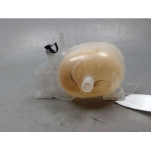 VASE EXPANSION RENAULT TWINGO