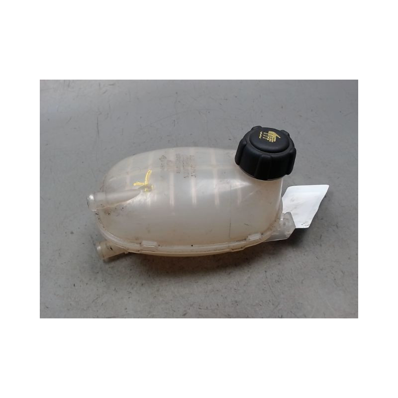 VASE EXPANSION RENAULT CAPTUR