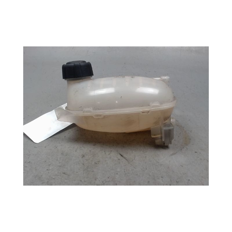 VASE EXPANSION RENAULT CAPTUR