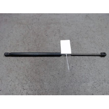 VERIN GAUCHE HAYON MINI MINI 2010-