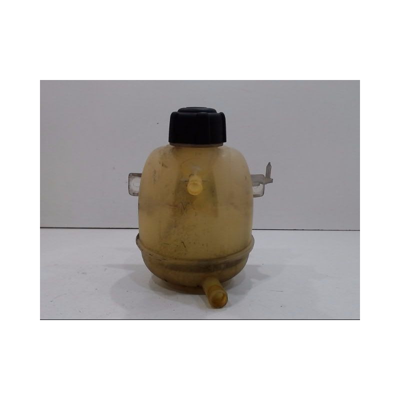 VASE EXPANSION RENAULT CLIO