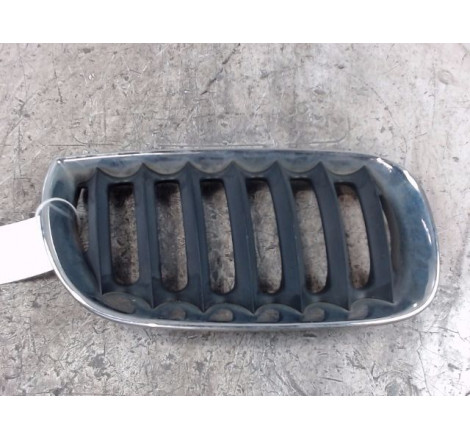 GRILLE CALANDRE D
