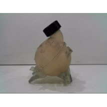 VASE EXPANSION CITROEN C3