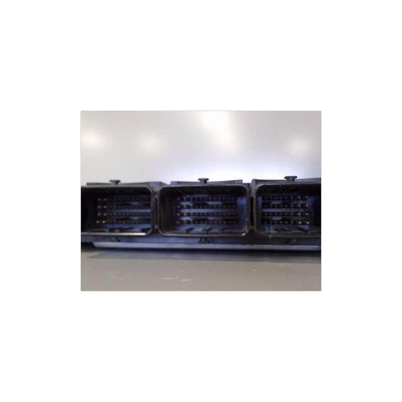 CALCULATEUR MOTEUR RENAULT TRAFIC II PASSENGER LONG 8.06-15
