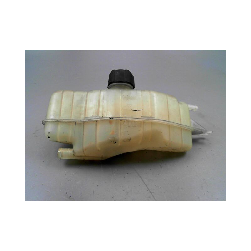 VASE EXPANSION RENAULT CLIO III Phase 2 2009-...