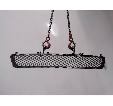 GRILLE PARE-CHOC AV
