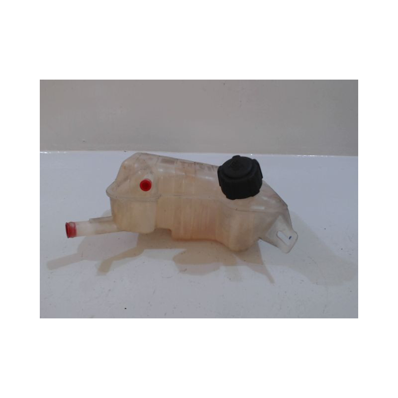 VASE EXPANSION RENAULT SCENIC II PH1 02-06