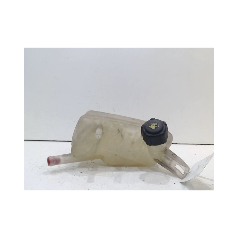 VASE EXPANSION RENAULT MEGANE