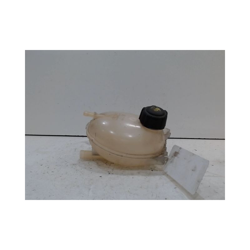 VASE EXPANSION RENAULT CLIO