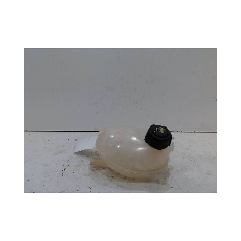 VASE EXPANSION RENAULT CLIO
