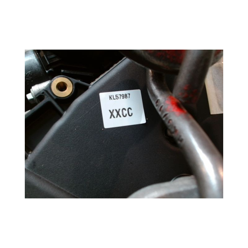 MOTEUR DIESEL FORD T.COURIER 1.5 EcoBlue