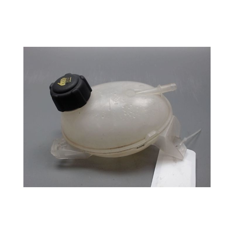 VASE EXPANSION RENAULT CLIO