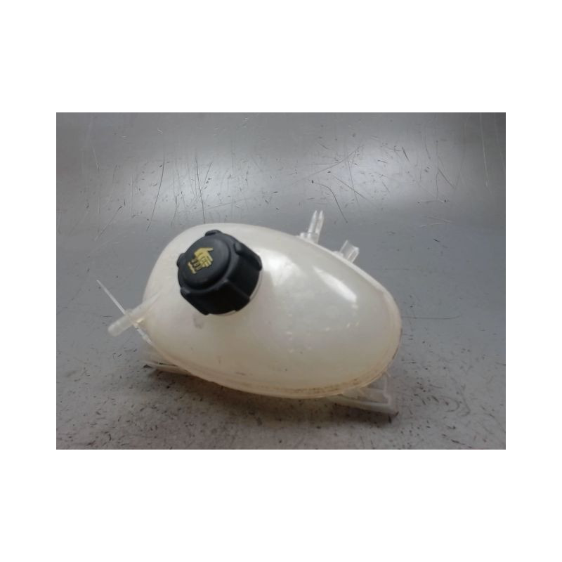VASE EXPANSION RENAULT TWINGO