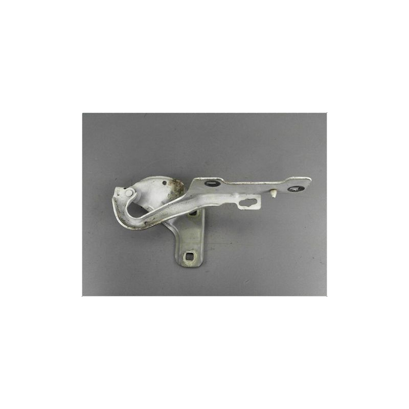 COMPAS GAUCHE CAPOT RENAULT CLIO III PH.2 09-14