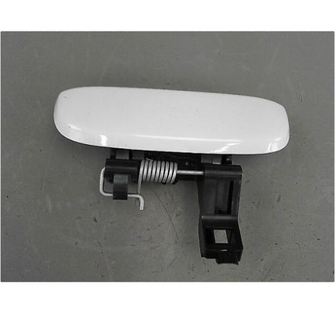 POIGNEE EXT PORTE AVG