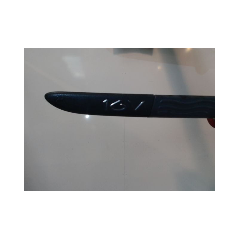 PROTECTION PORTE AVANT GAUCHE RENAULT MODUS 2004-2007