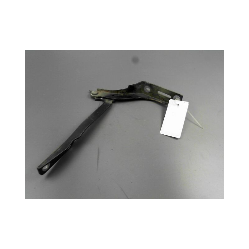 COMPAS GAUCHE CAPOT PEUGEOT 307 Phase 2 2005-2007
