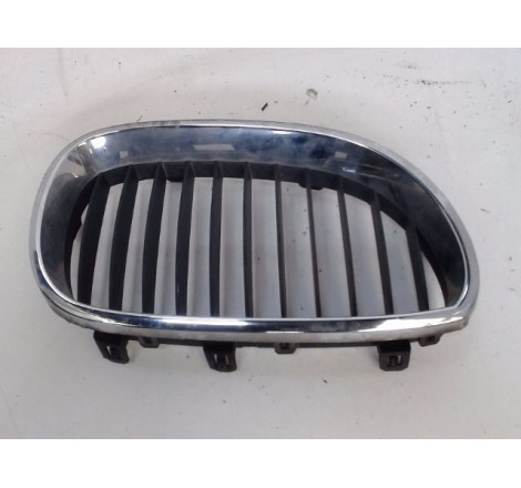 GRILLE CALANDRE D