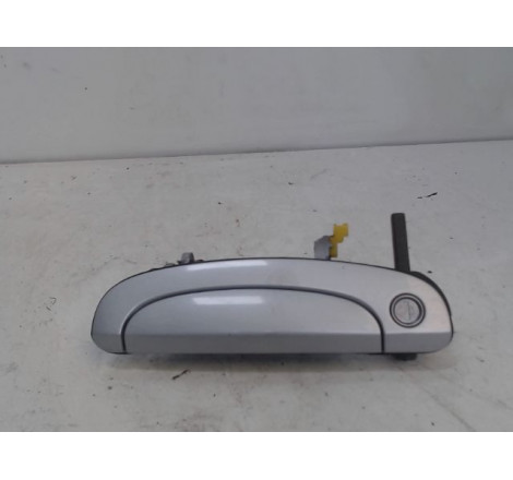 POIGNEE EXT PORTE AVG