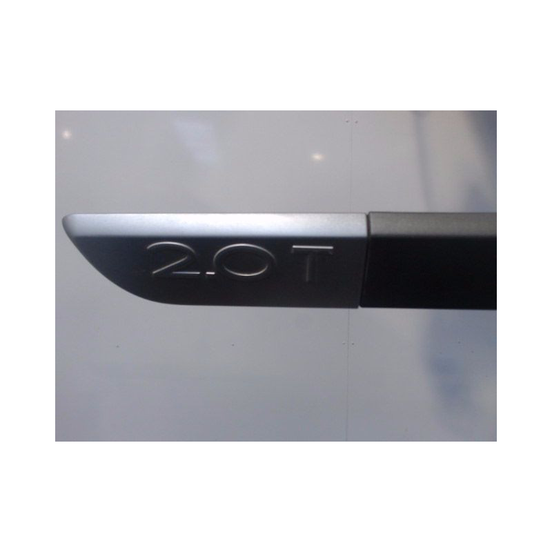 PROTECTION PORTE AVANT GAUCHE RENAULT SCENIC II PH1 02-06