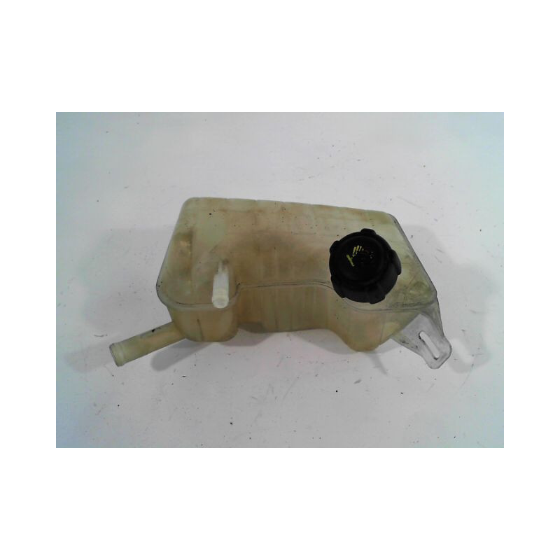 VASE EXPANSION RENAULT SCENIC II PH.1 03-06