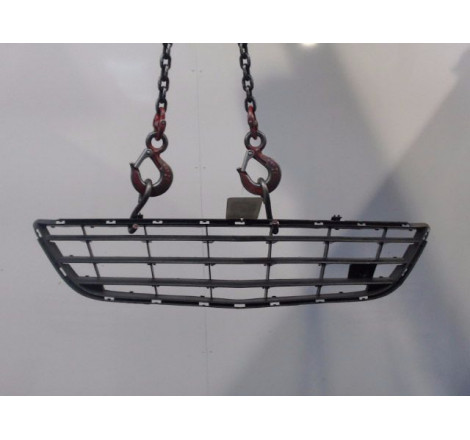 GRILLE PARE-CHOC AV