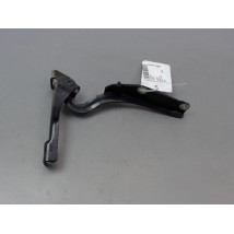 COMPAS GAUCHE CAPOT CITROEN C3 PICASSO MONOSP. Phase 1 2009-...