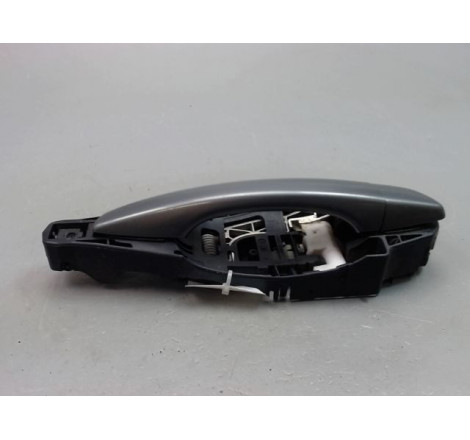 POIGNEE EXT PORTE ARD