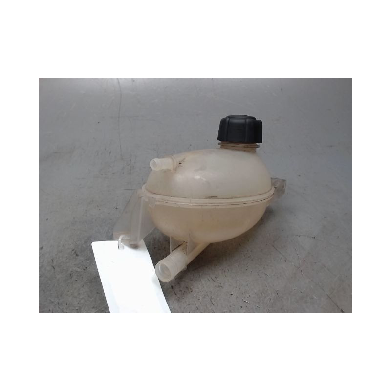 VASE EXPANSION RENAULT CLIO
